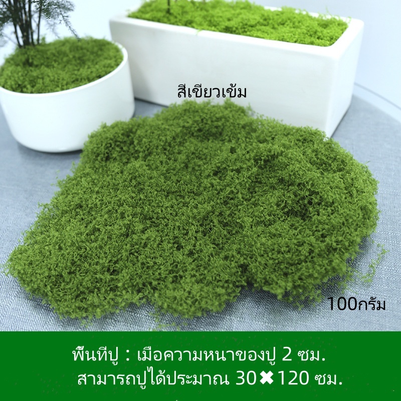 "กรุงเทพ 24 ชม. หลังส่ง" มอสเทียม มอส อุปกรณ์ตกแต่งสวน บอนไซสนามหญ้า ตกแต่งกระถาง ออกแบบภูมิทัศน์ ต้นไม้สีเขียว