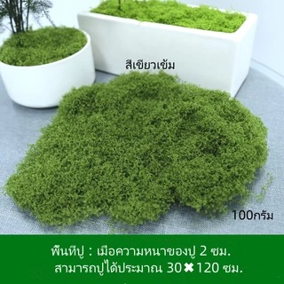 "กรุงเทพ 24 ชม. หลังส่ง" มอสเทียม มอส อุปกรณ์ตกแต่งสวน บอนไซสนามหญ้า ตกแต่งกระถาง ออกแบบภูมิทัศน์ ต้นไม้สีเขียว