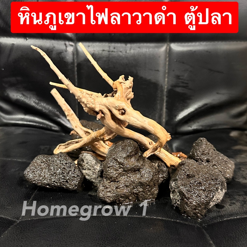 หินภูเขาไฟลาวา หินลาวาดำ ขนาดใหญ่ (Lava Stone) | ผสมดินปลูก โรยหน้ากระถาง ใส่บ่อปลา