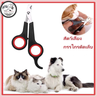 AL-180 กรรไกรตัดเล็บสัตว์เลี้ยง แมว สุนัข หมา กระต่าย ที่ตัดเล็บสัตว์เลี้ยง อุปกรณ์ตัดเล็บ Pet Nail Clipper 🔥 พร้อมส่ง 🔥