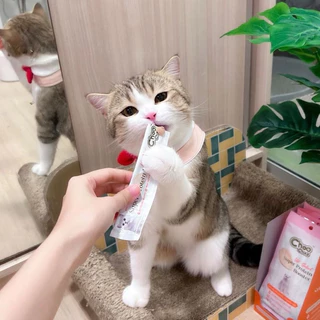 (ยกลัง+ส่งฟรี+ไม่ร่วมสะสมแต้ม) ชูชู โปรตีนบูสเตอร์ บำรุงแมว รูปแบบซองเลีย 48 แพ็ค (192ชิ้น) รสปลาแมคเคอเรลและปลาทูน่า