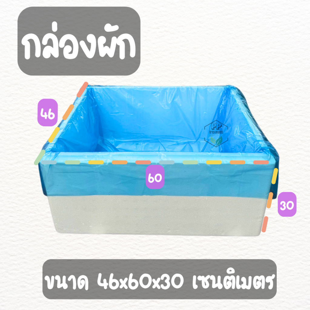 รูปภาพ 7