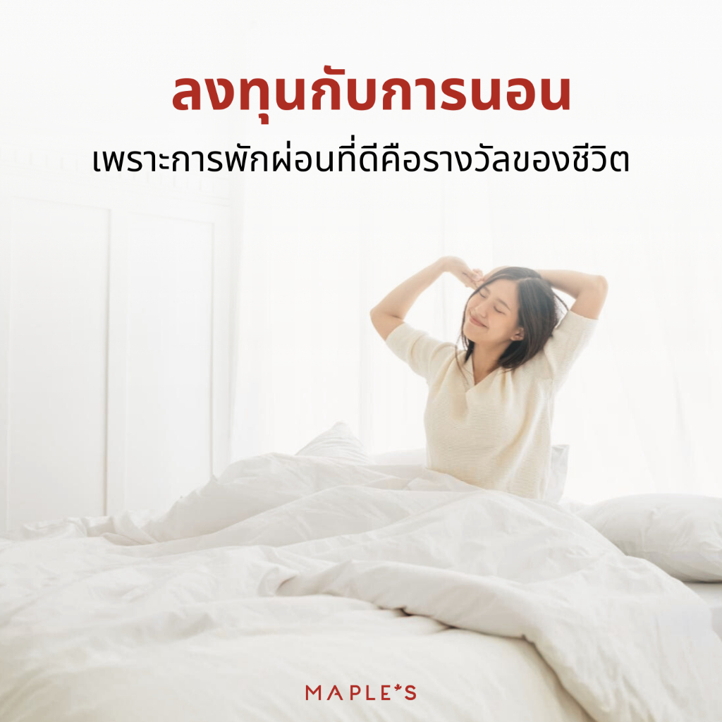 MAPLE'S รองกันเปื้อนหมอน ป้องกันไรฝุ่น ช่วยดูเเลหมอนให้สะอาดเหมือนใหม่ ปลอกหมอน ถุงสวมหมอน 20x30นิ้ว - รูปที่ 7