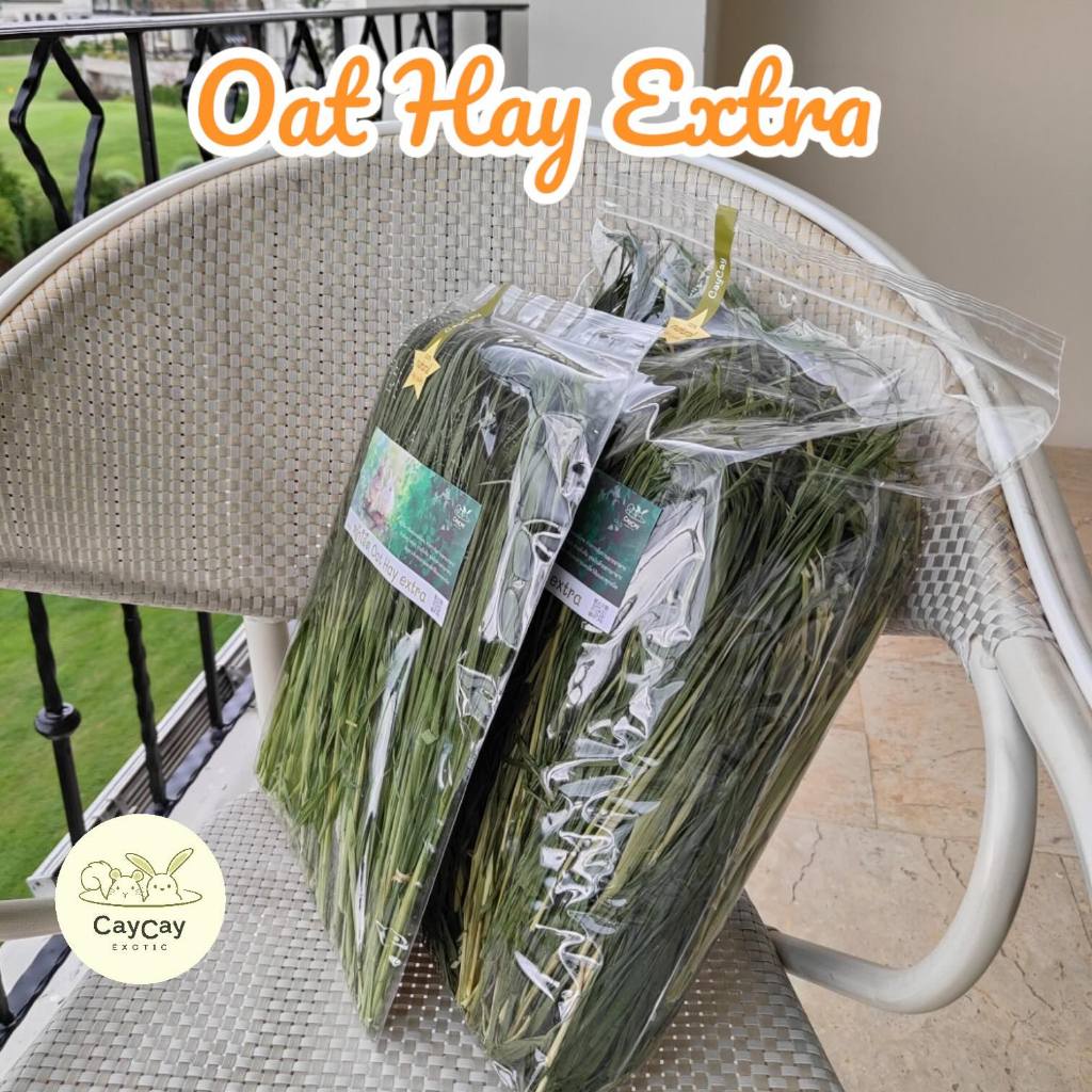 Oat Hay Extra หญ้าโอ๊ตอบ : caycay exotic
