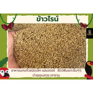ข้าวไรน์ (แบ่งขาย250-1kG.) อาหารนกแก้ว แฮมเตอร์ และสัตว์ฟันแทะอื่นๆ