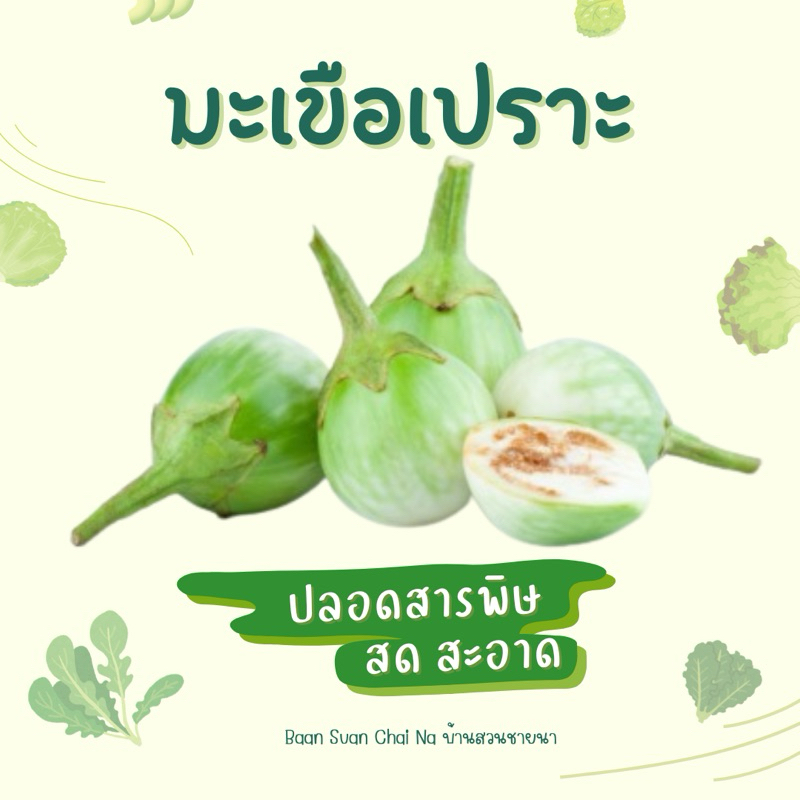 พร้อมส่ง💥 มะเขือเปราะ สดใหม่ ไร้สารพิษ 1 กิโลกรัม