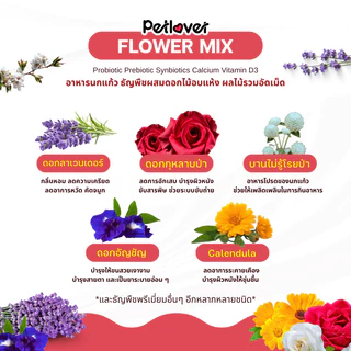 Flower Mix อาหารนกแก้ว ธัญพืชผสมดอกไม้อบแห้ง สูตรพรีเมี่ยม สำหรับนกขนาดเล็ก - กลาง (กระปุก 300G / 500G)