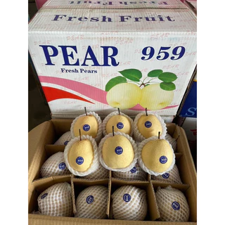 พร้อมส่ง‼️1KG สาลี่น้ำผึ้ง หวานฉ่ำอร่อย