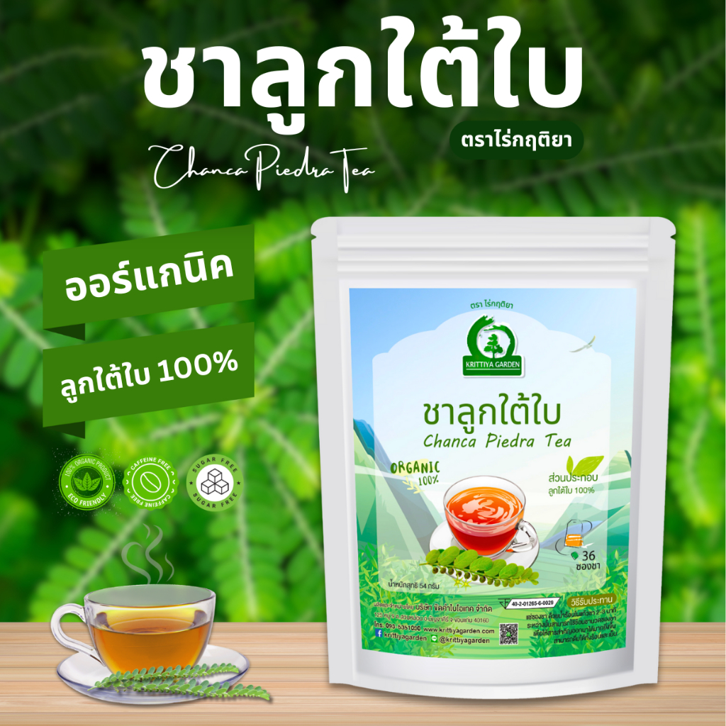 ชาลูกใต้ใบ Stone Breaker (Chanca Piedra Tea) ตราไร่กฤติยา