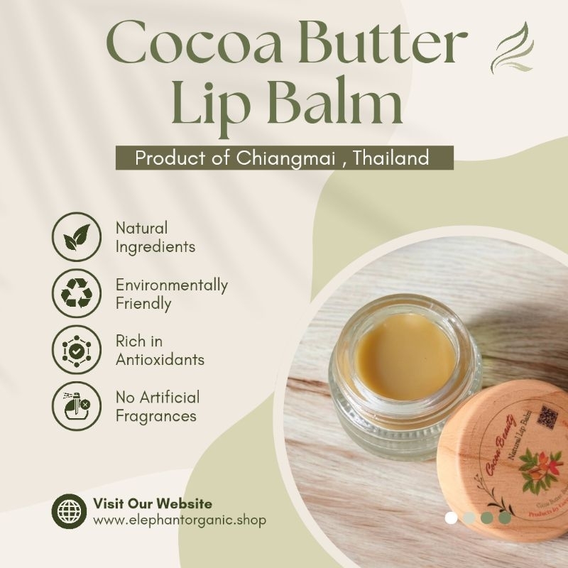 Cocoa Lip Balm ลิปบาล์ม​ จากเนยโกโก้และขมิ้น​ ลดผิวแตก​เป็นเกล็ด​ ลดอักเสบ​
