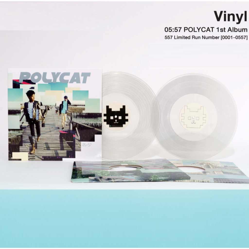 เเผ่นเสียง Polycat Vinyl : 05:57