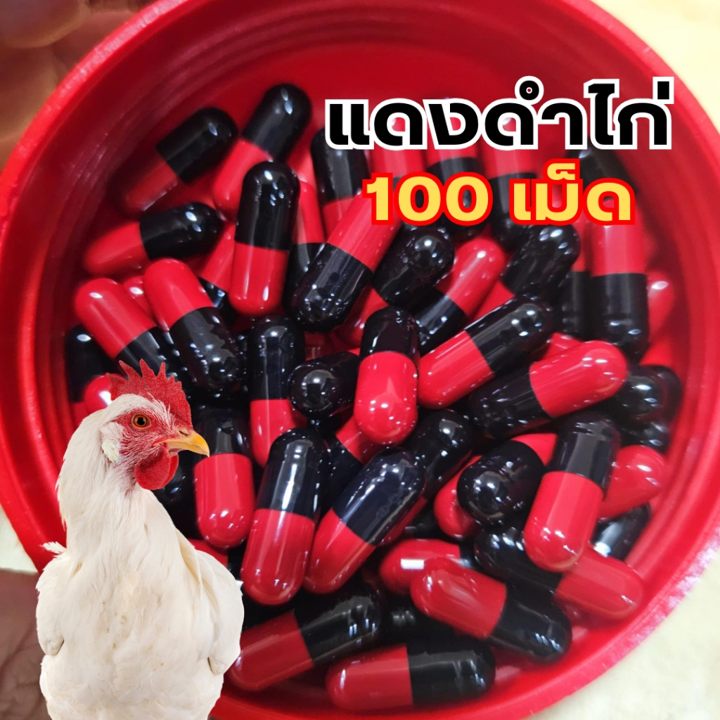 อาหารไก่ชน แดงดำไก่ 100 เม็ด หัวอาหารไก่ชน สำหรับไก่ชน