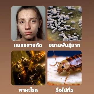🪳ภายใน 30 นาที เห็นผลกำจัดแมลงสาบ🪳 SKy ยากำจัดแมลงสาบ 24 ชิ้น/กล่อง กำจัดยกรังแบบลูกโซ่ ป้องกันการกลับมาในระยะยาว
