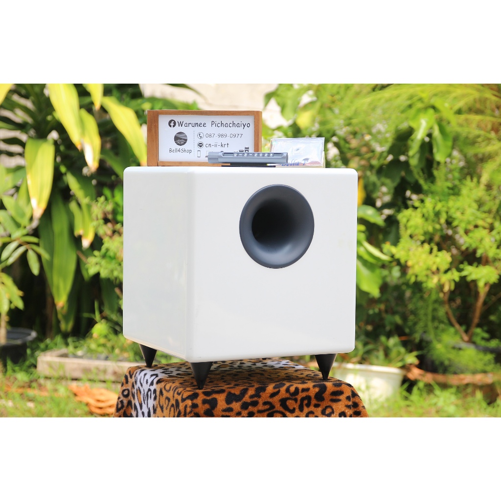 AUDIOENGINE S8 Powered Active Subwoofer