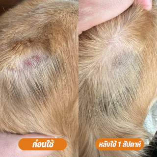 Goodboss Pet Balm บาล์มเเท่งสำหรับสัตว์เลี้ยง ช่วยให้เเผลเเห้งเร็ว ขนาด 5 กรัม ผลิตภัณฑ์ออแกนิค
