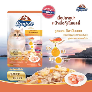 คานิว่า อาหารเปียก ยกกล่อง 12 ซอง KANIVA อาหารแมวเปียก คานิว่า ขนาด 70 G 15 สูตร. ยกกล่อง