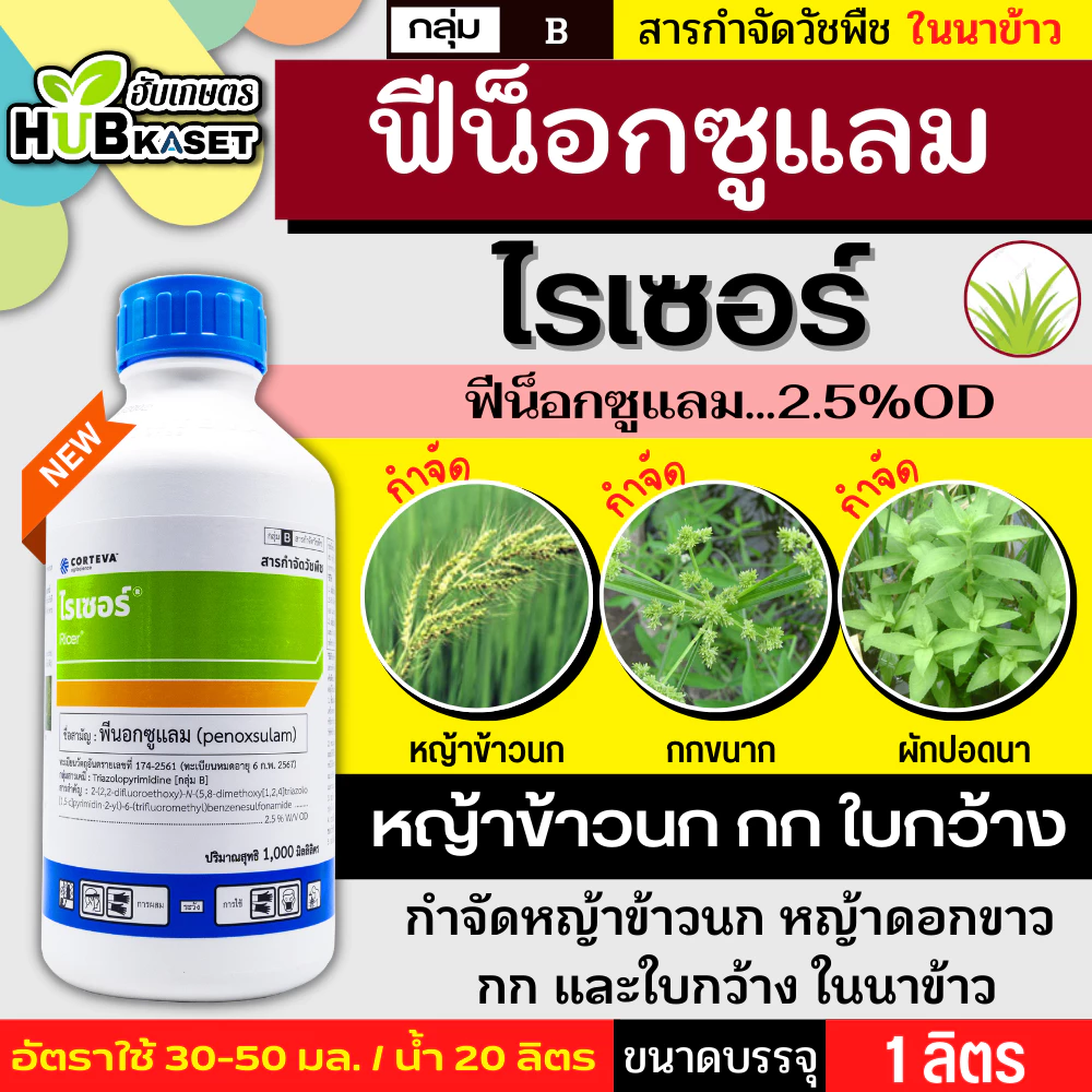 ไรเซอร์ 1ลิตร (พีน็อกซูแลม) กำจัดวัชพืชเช่น หญ้าข้าวนก หญ้าดอกขาว ผักปอดนา กกทราย กกขนากและหนวดปลาดุก