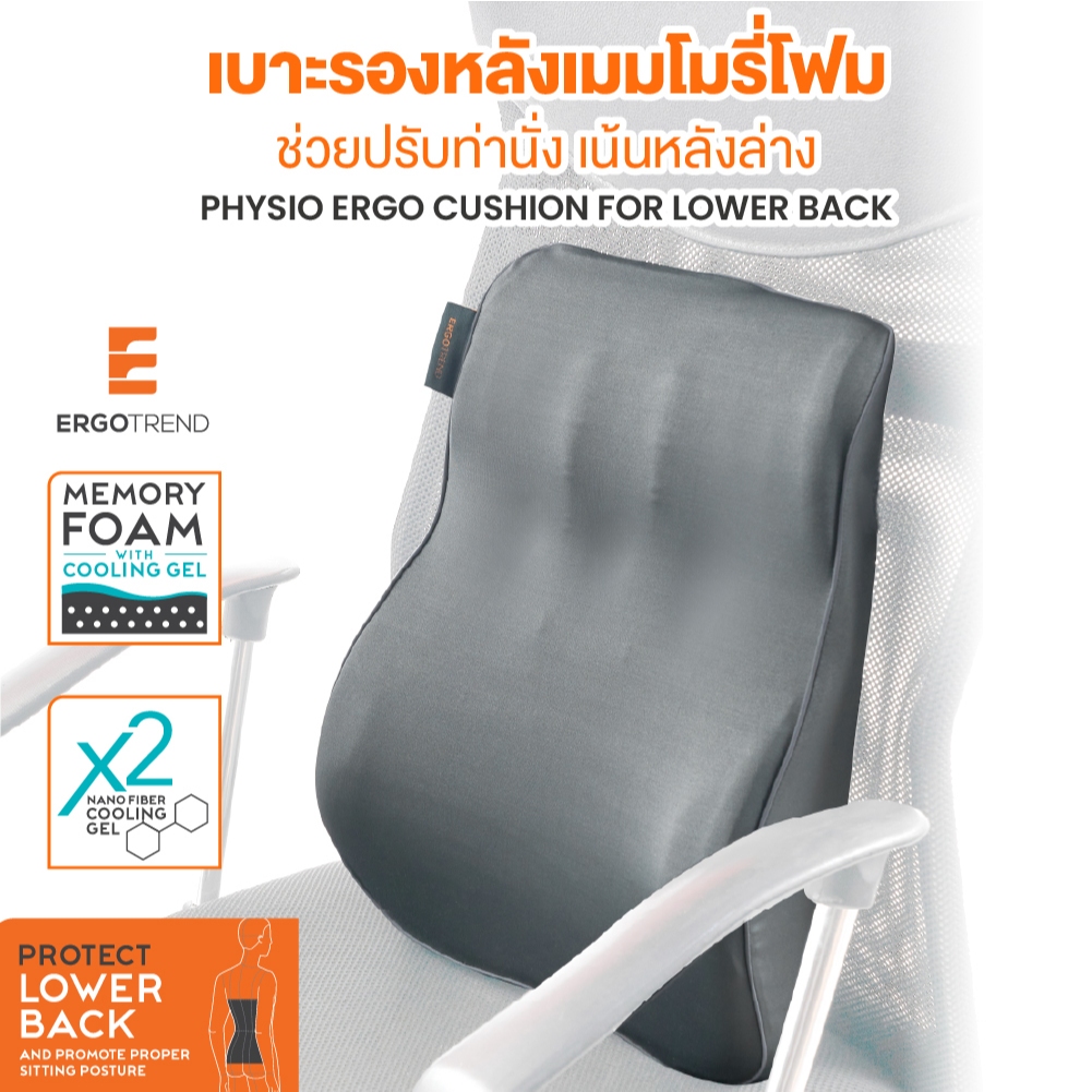 ERGOTREND PHYSIO ERGO CUSHION FOR LOWER BACK เบาะรองหลังปรับท่านั่งให้ถูกต้องตามหลักสรีรศาสตร์