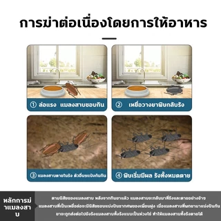 💥ใช้1เม็ด ได้ผลนาน5ปี💥ไล่แมลงสาบ ยาแมลงสาบ ฆ่าแมลงสาบ 8ชิ้น เหยื่อล่อเพื่อล่อให้มันมากิน การเสียชีวิตจากการติดเชื้อ