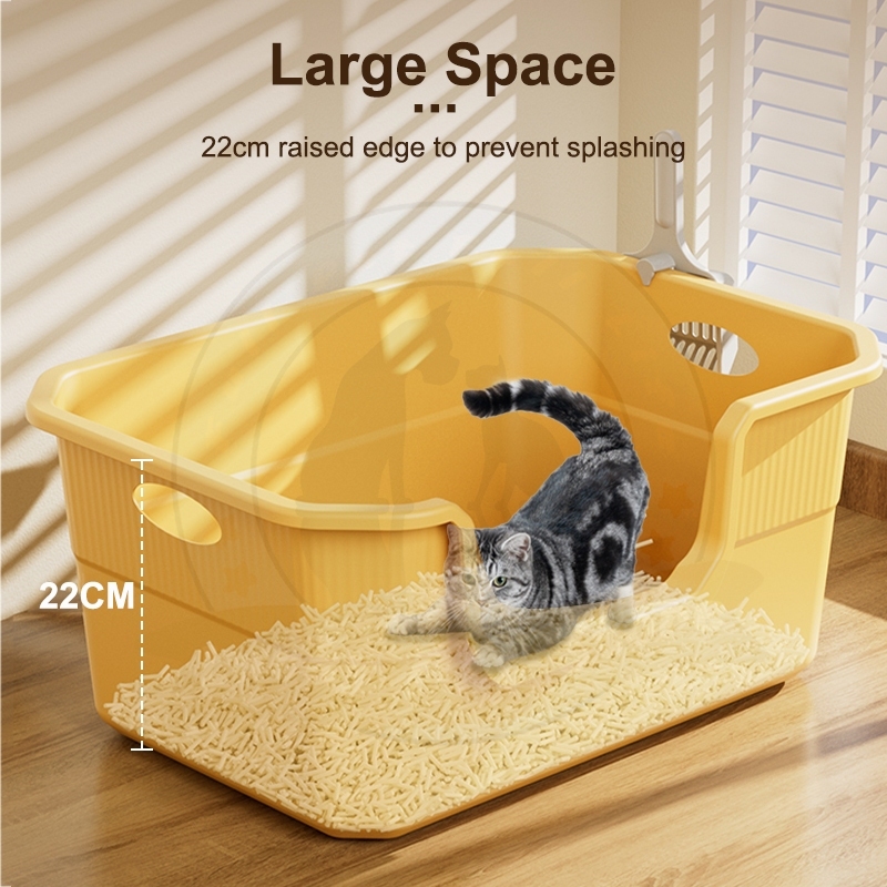 รูปภาพ 5