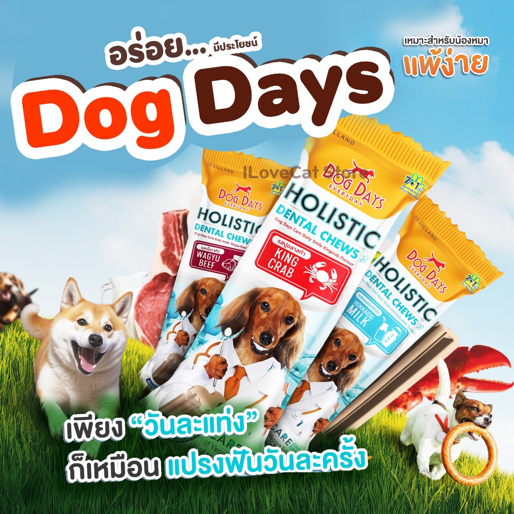 Dog Days ขนมขัดฟัน ขนมบำรุงสุขภาพ สำหรับสุนัข ช่วยลดคราบหินปูน ไม่มีส่วนผสมของผลพลอยได้จาก สัตว์ปีก