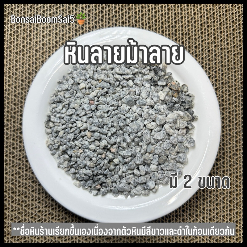หินขาว หินลายม้าลาย โรยกระถางต้นไม้