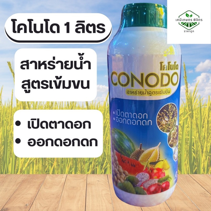🌻โคโนโด (CONODO) สาหร่ายน้ำสูตรเข้มข้น 1 ลิตร เปิดตาดอก ออกดอกดก โตไว ช่วยในการสังเคราะห์แสงของใบได้ดีขึ้น