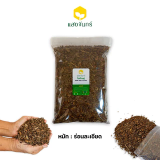 ใบก้ามปูหมัก 300g-500g-1kg ปุ๋ยใบก้ามปูล้วน 100% ไม่ผสมดิน (หมักหยาบ-ร่อนหยาบ-ร่อนละเอียด-คัดกิ่ง) Rain Tree Leaves
