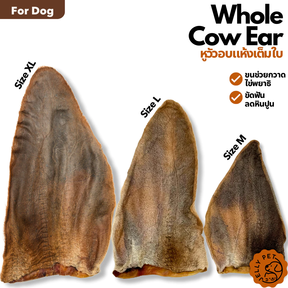 Jelly Pet หูวัวอบแห้ง ขนมขัดฟันสุนัข Dehydrated Cow Ear Dog Treat ขนมสุนัขสุขภาพ ขนมหมาสุขภาพ