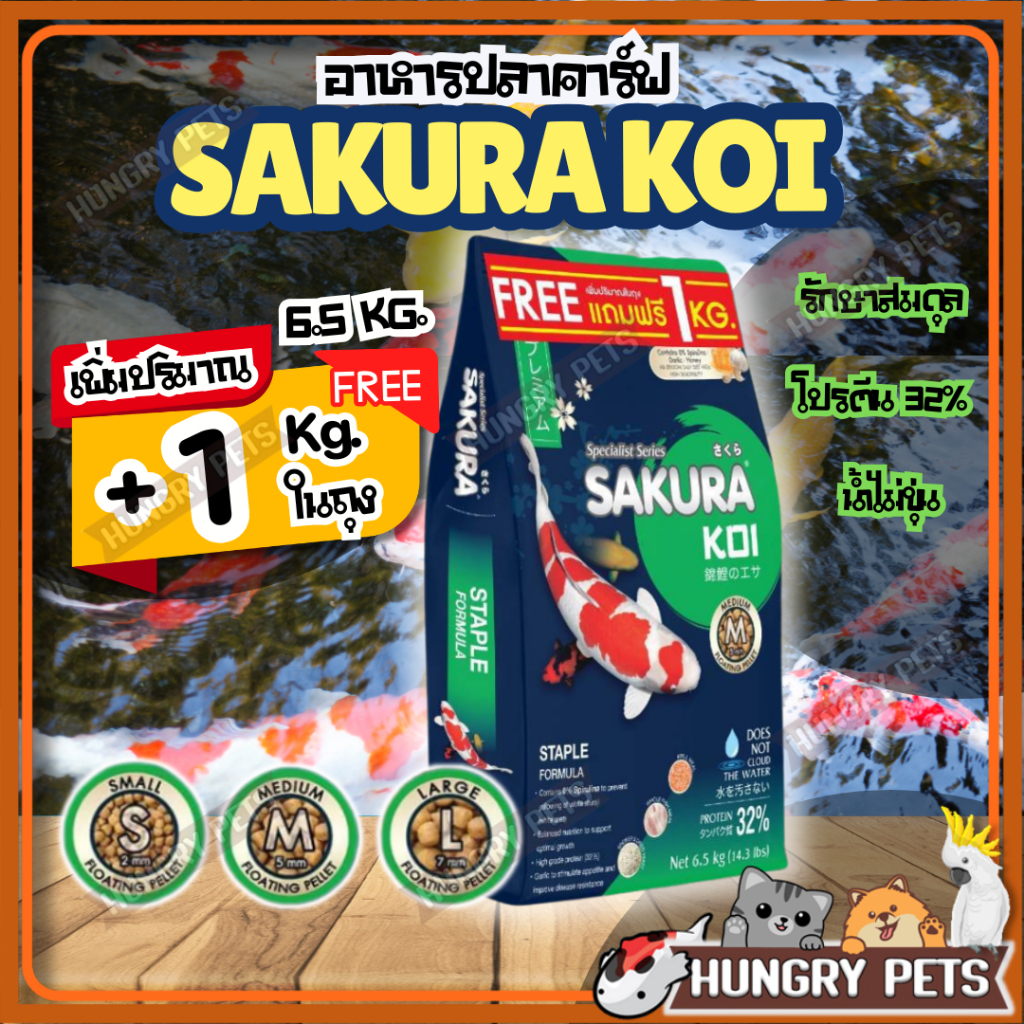 💥มี 2 โปร🔰ฟรี+1กก.ในถุง❗อาหารปลาคาร์ฟซากุระโค่ย (Sakura Koi) 🟢สูตรรักษาสมดุลปลา🟢 ให้ได้ทุกวัน ขนาด 6.5 กก.