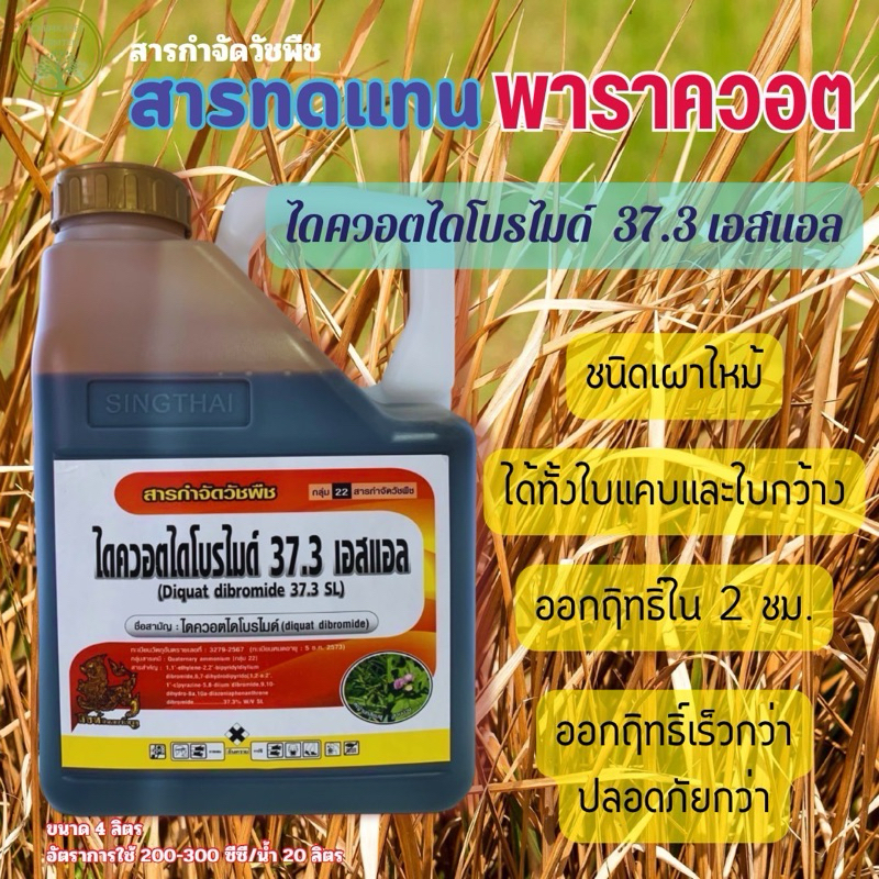 ไดควอตไดโบรไมด์ 37.3 SL ขนาด 4 ลิตร❌สารทดแทนพาราควอต❌ฆ่าหญ้าเผาไหม้ทันที ไดควอต ไดโบรไมด์ 37.3%  SL