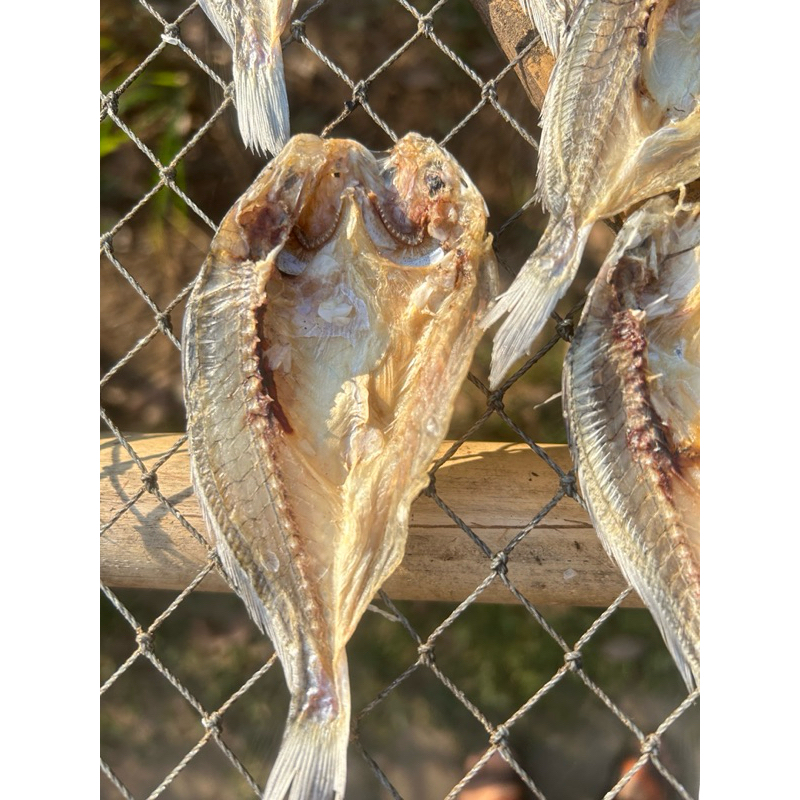 🐟🐟ปลาจวดแบบผ่าตากแห้งสดสะอาดปลอดสาร วัตถุดิบจากธรรมชาติ