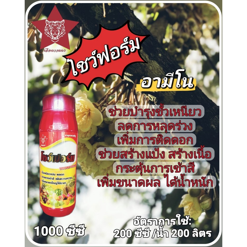(บริษัท เบสท์ เคมี)ฮอร์โมนพืช โชว์ฟอร์ม 1000 ซีซี อามีโน อมีโน อามิโน ขั้วเหนียว ลดการหลุดร่วง เพิ่มการติดดอก สูตรดอกไหล