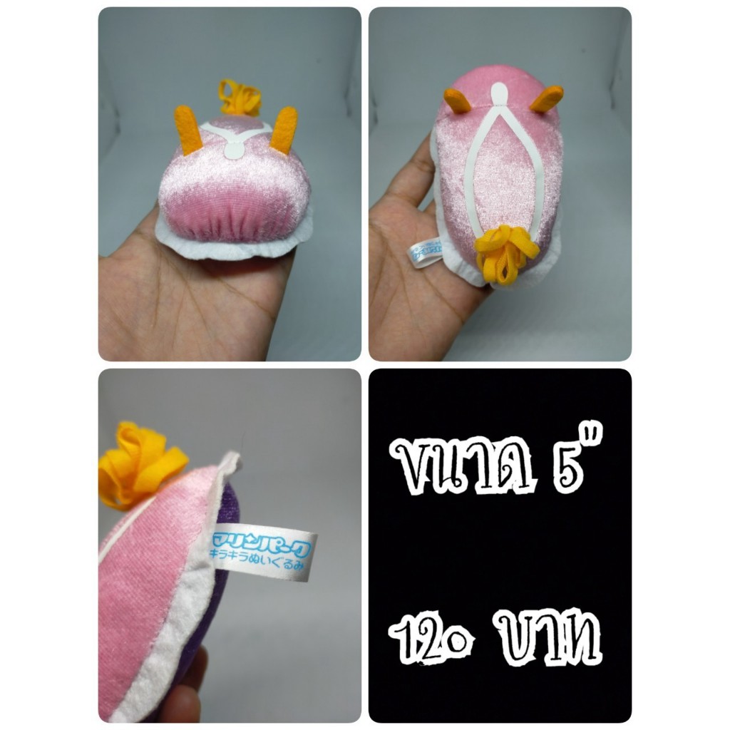 Anna Sea Slug#Anna Sea Marine Park#ทากทะเล#ป้าย Yell#ตุ๊กตาญี่ปุ่นมือสอง