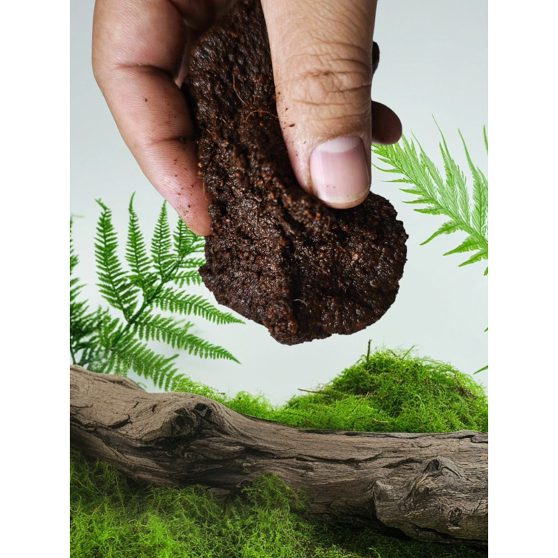 (พร้อมส่ง)ดินแปะมอสเวียดนามแท้ 100% สำหรับสวนขวดและterrarium