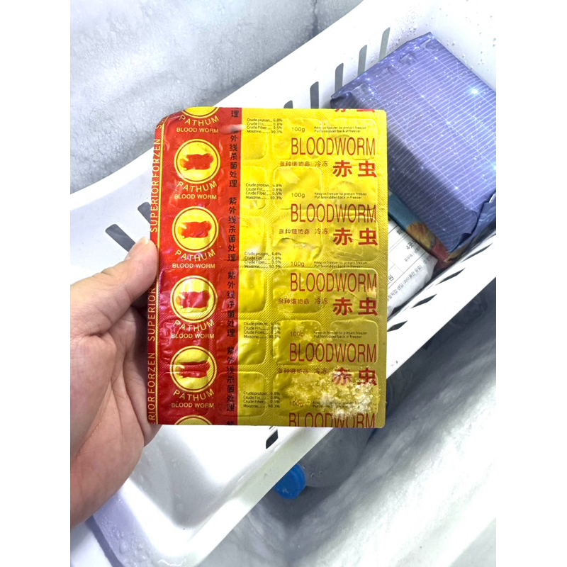 หนอนแดงแช่เเข็ง 100กรัม 1แพ็ค= 24หลุม(ใส่ถุงเก็บความเย็น)