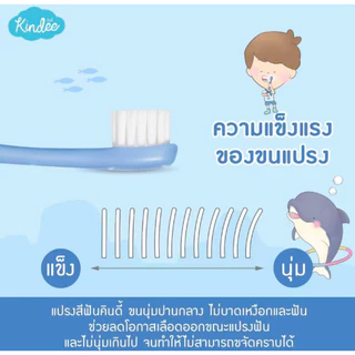 (ส่งด่วน/ส่งทันที🔥) Kindee แปรงสีฟันเด็กขนนุ่ม สำหรับเด็ก 1-6 ปี คอแปรงโค้งงอได้ รับกับช่องปากเด็ก