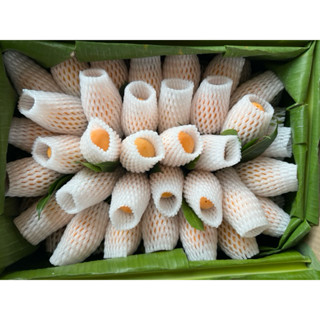 โฟมห่อผลไม้ S10 ( ความยาว 10 ซ ม จำนวน 100 ชิ้น มะปราง มะยงช…