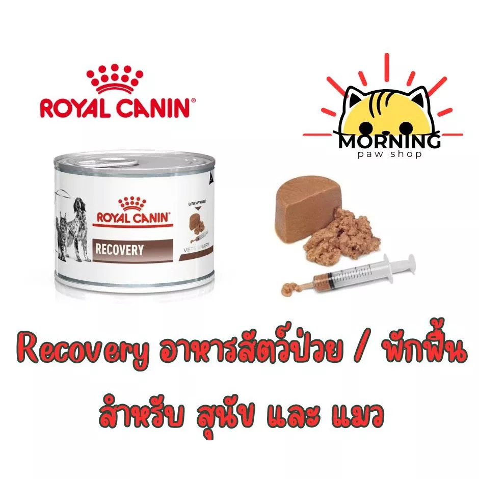 Royal Canin Recovery อาหารเปียก อาหารเหลว สำหรับสุนัข แมว ป่วย ระยะพักฟื้น ผ่าตัด