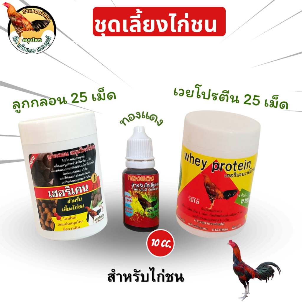 ชุดเลี้ยง 3 in 1 ทองแดง ชุดเลี้ยงไก่ชน