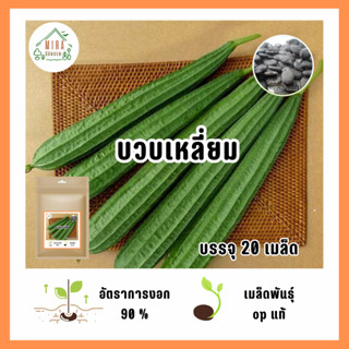 เมล็ดพันธุ์บวบเหลี่ยม 20 เมล็ด