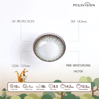 PEGAVISION คอนแทคเลนส์สี รายวัน รุ่น Forest Miracle สี Olive Brown (10 เลนส์/กล่อง)
