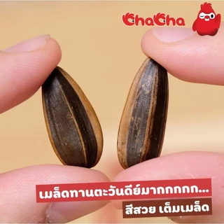ชาช่า เมล็ดทานตะวัน [ซอง 10บาท] 30/35 กรัม ( Chacha )