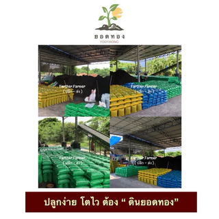 (ส่งด่วนส่งทันที) Yodthong ดินพร้อมปลูก 1 กิโลกรัม ผสมครบจบ ไม่ต้องผสมเพิ่มเติม ดินปลูกต้นไม้