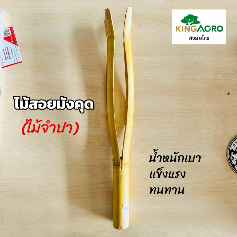 ไม้สอยมังคุด (ที่สอยมังคุด)