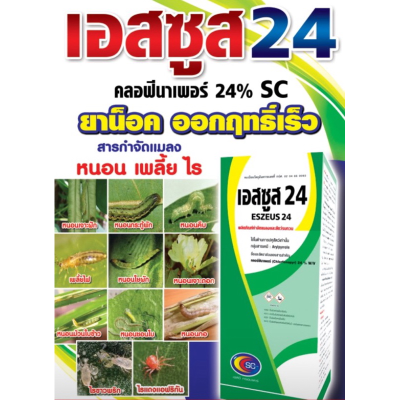 เอสซูส 24 คลอร์ฟีนาเพอร์ 24 % w/v