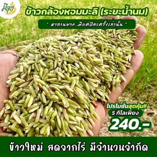 ข้าวกล้องหอมมะลิน้ำนม ข้าวมีสุข หอมนุ่ม เพื่อสุขภาพ (ถุง 5 กิโล)