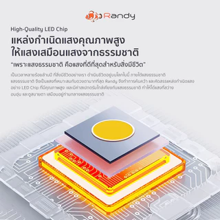 [3FREE1] RANDY ไฟดาวน์ไลท์LED White&Warm ดาวน์ไลท์ติดลอย โคมไฟเพดาน Downlight ไฟติดห้อง ไฟเพดาน LEDไฟห้องนอน ประกัน2ปี