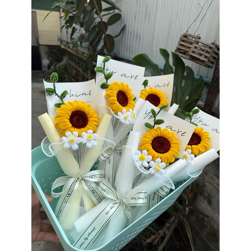 ทานตะวันลวดกำมะหยี่กลีบเล็ก