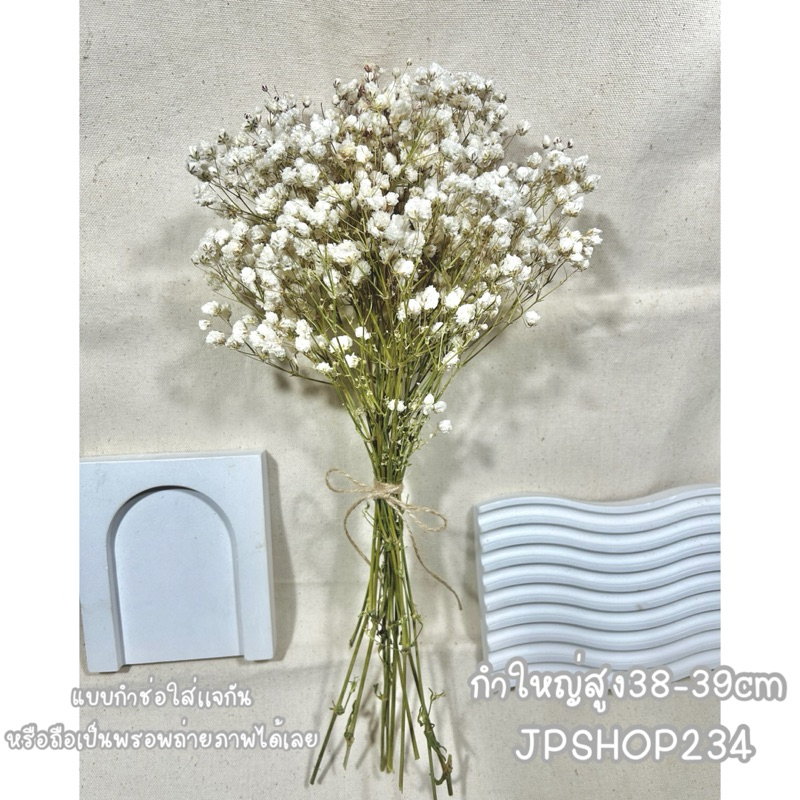 Gypsophila ยิปโซแห้ง ดอกไม้แห้ง ดอกยิปโซตากแห้งกำใหญ่ดอกฟู (F2) ราคา ถูกที่สุด ดีลบีเคเค แกลเลอรีภาพที่ 3
